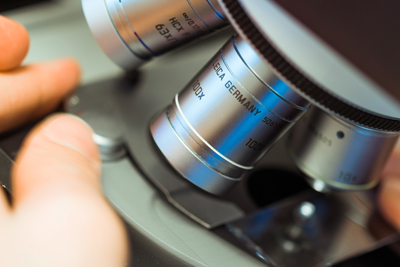 pathologie tübingen